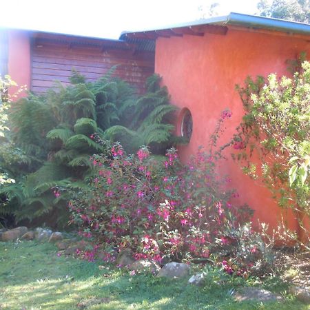 Franklin Whispering Spirit Holiday Cottages & Mini Ponies מראה חיצוני תמונה