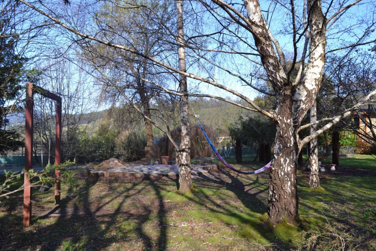Franklin Whispering Spirit Holiday Cottages & Mini Ponies מראה חיצוני תמונה